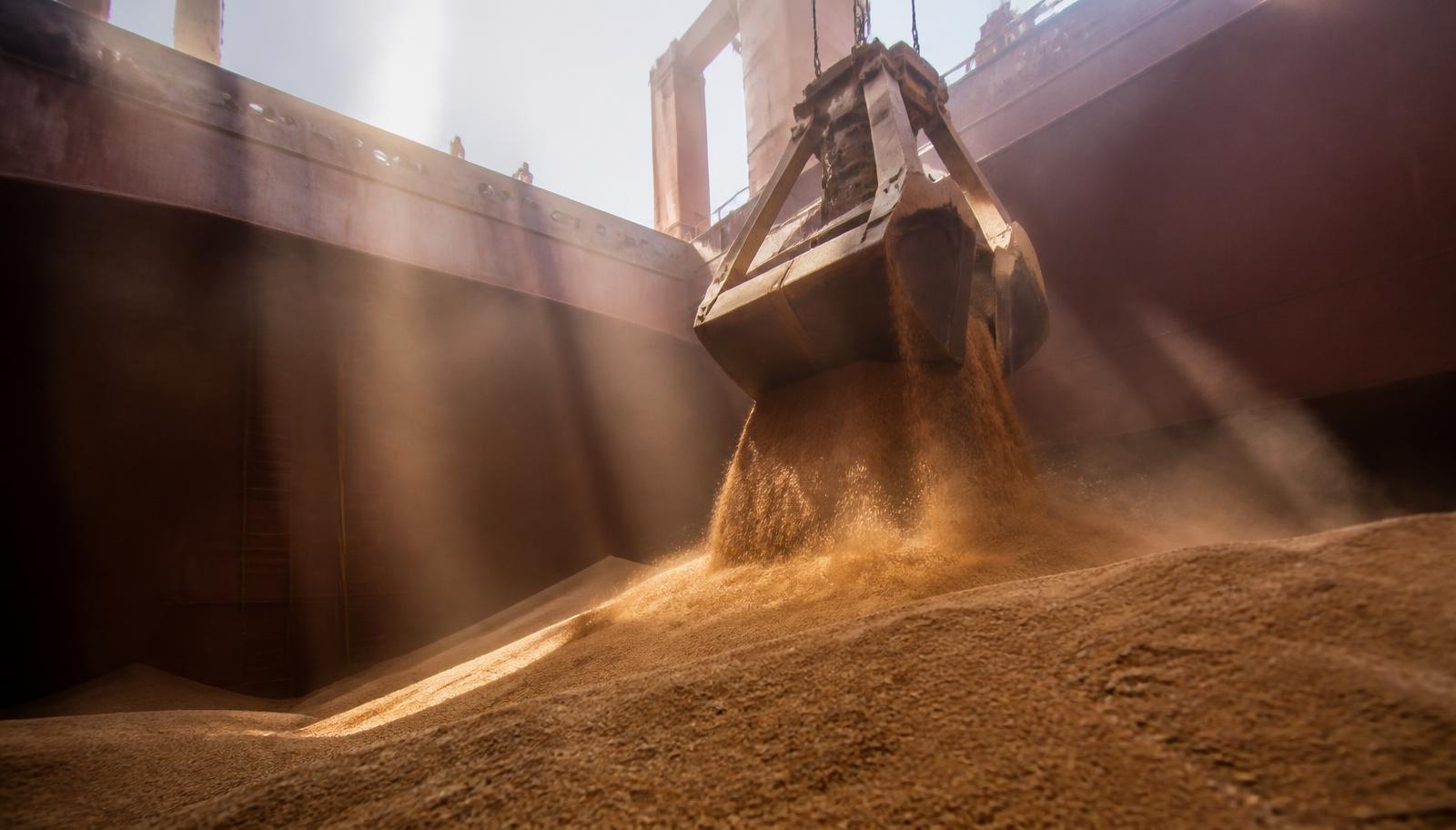 Clamshell grab discharging wheat grain inside a bulk carrier cargo hold with dust in shafts of light